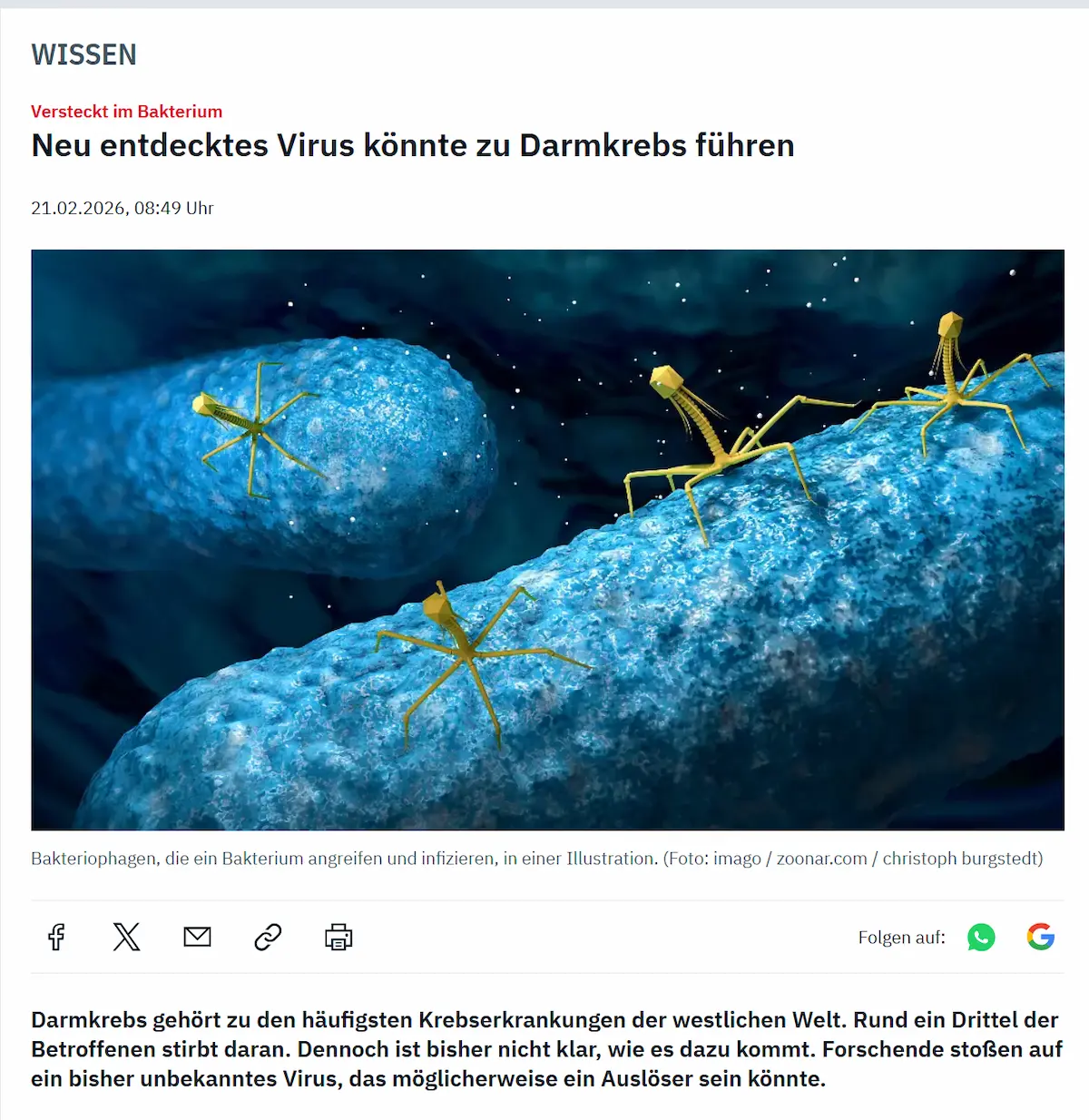 Virusidiotie Bakteriophagen mit schlanken Beinen ruhen auf einem blauen, stäbchenförmigen Bakterium, das vor einer tiefblauen Fläche sanft beleuchtet wird.